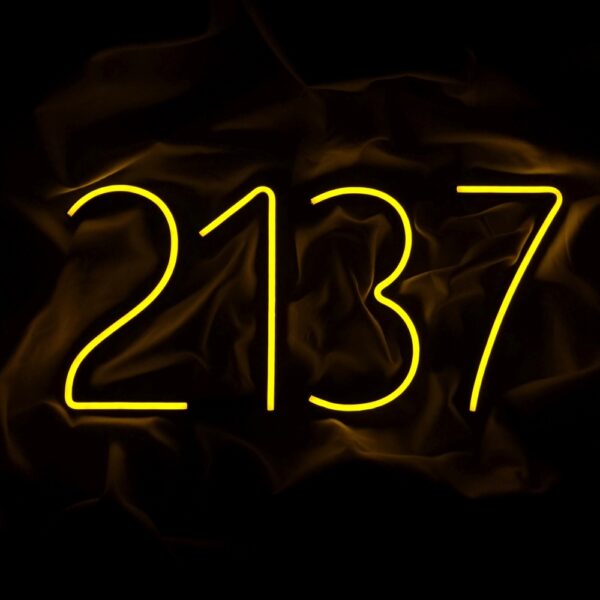 Neon 2137